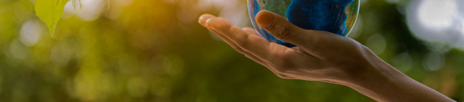 Open hands under sunlight against a green background