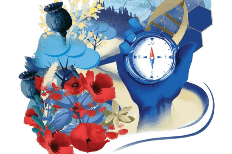 Cover of Health Above All corporate magazine, issue 51